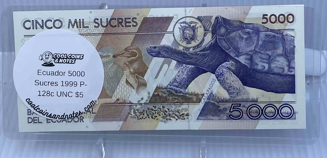 100 Banknote Currency Sleeves Rigid US Dollar Modern Size US Topload Holders Note Cool Coins & Notes (Copy)