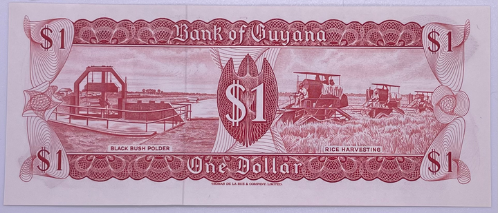 Guyana, 1 dollar, ND (1983), signature 6, P-21e, UNC