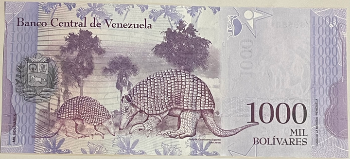 Venezuela 2017 1000 Bolivares P95 UNC World Banknote Currency